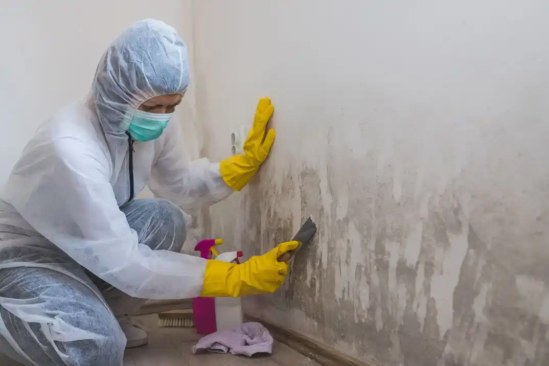 water damage restoration service South Guadalupe Trail